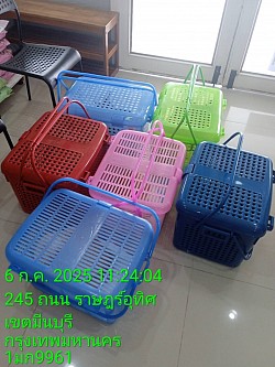 รับ ส่ง สัตว์เลี้ยง