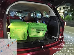 รับ ส่ง สัตว์เลี้ยง