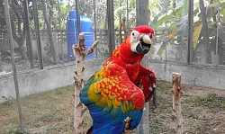 เที่ยวสวนสัตว์