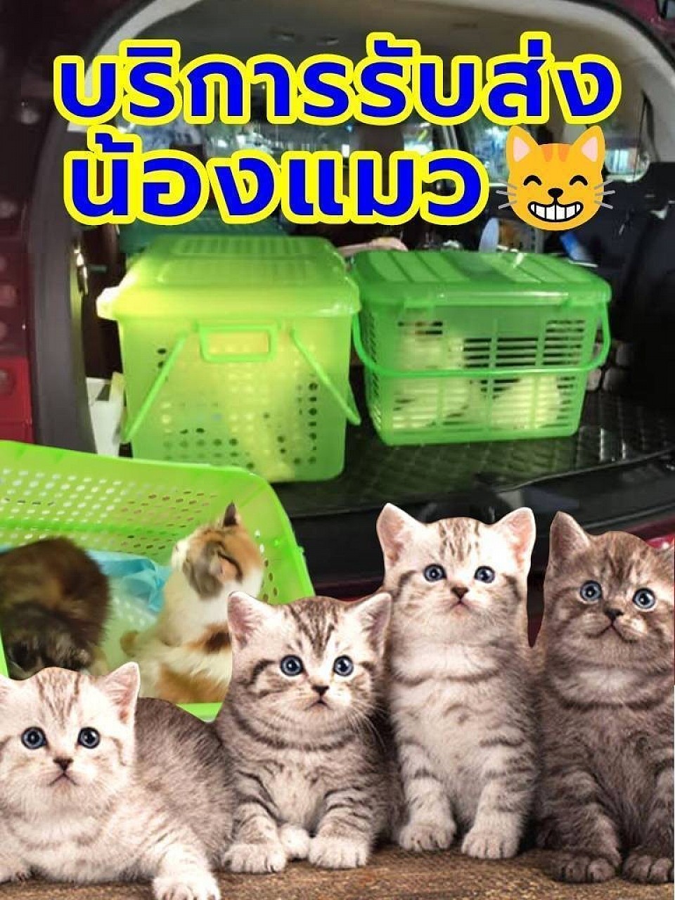 รับส่งสัตว์เลี้ยง