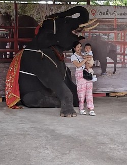 ขี่ช้าง